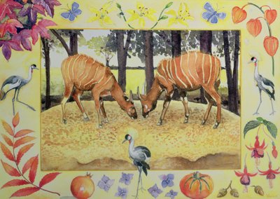 Bongo (mese di ottobre da un calendario) da Vivika Alexander